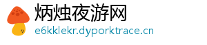 炳烛夜游网